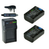 2 x NP-FV50 accu's voor Sony - Charger Kit + car-charger - UK version